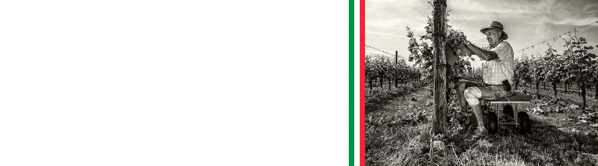 Exclusieve Italiaanse wijnen